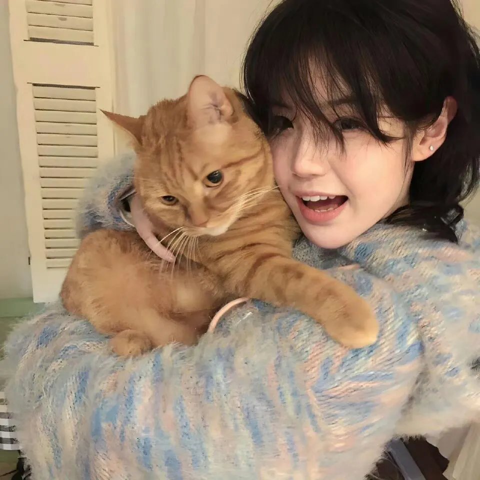 天才猫奴画家封面